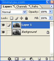 Duplicated Layer