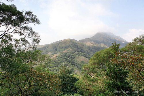 鳳凰山