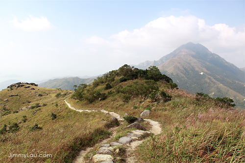 大東山