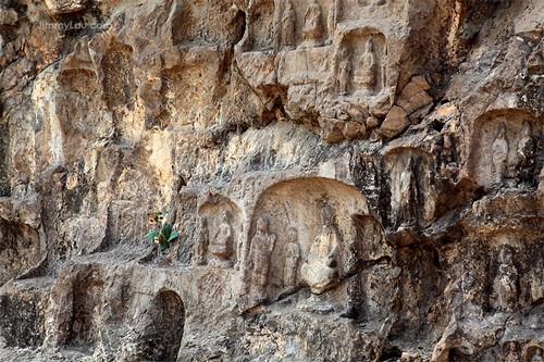 龍門石窟(Longmen Grottoes)