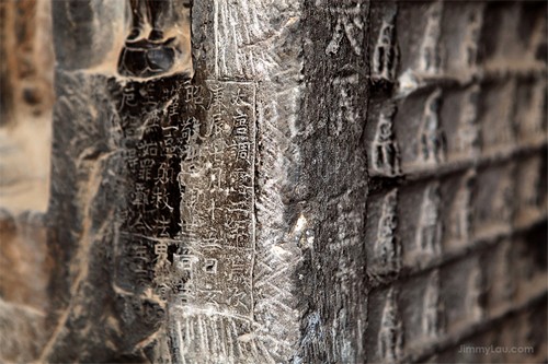 龍門石窟(Longmen Grottoes)