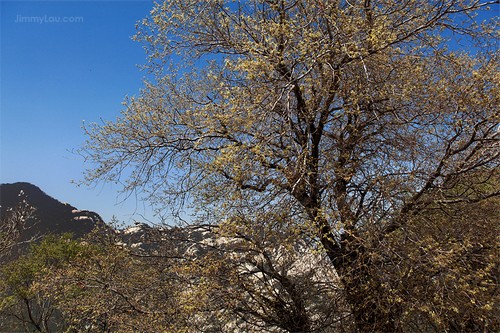 西岳華山