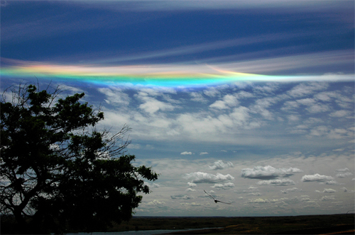 火彩虹/環地平弧 (Fire Rainbow)