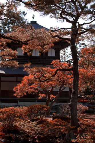 銀閣寺