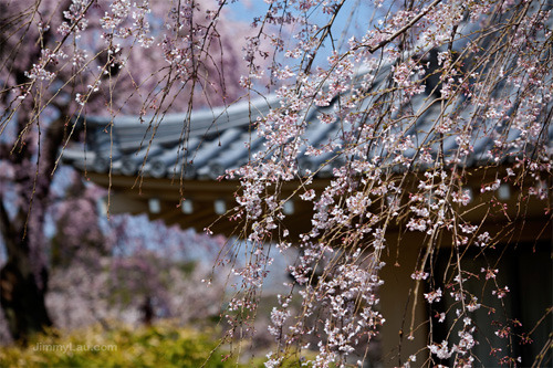 醍醐寺