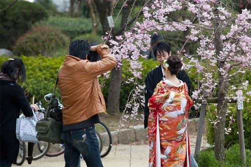 大阪城公園櫻花