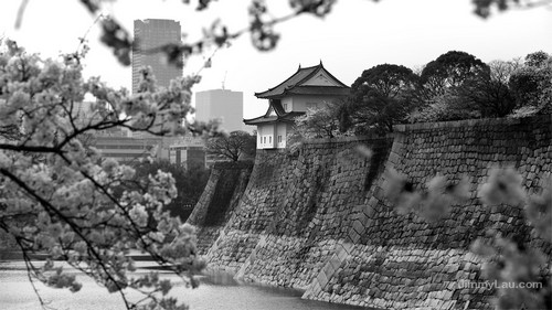 大阪城公園櫻花