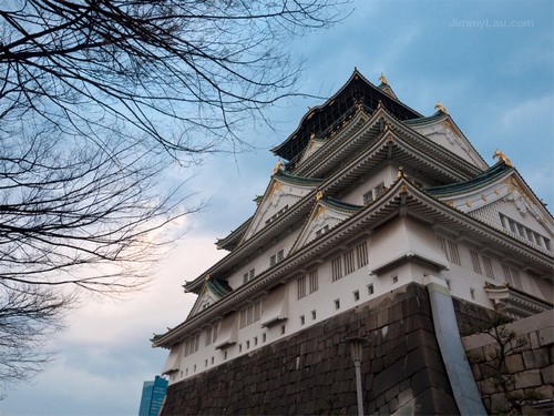 大阪城公園櫻花