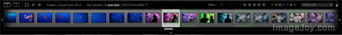 Lightroom Filmstrip Panel