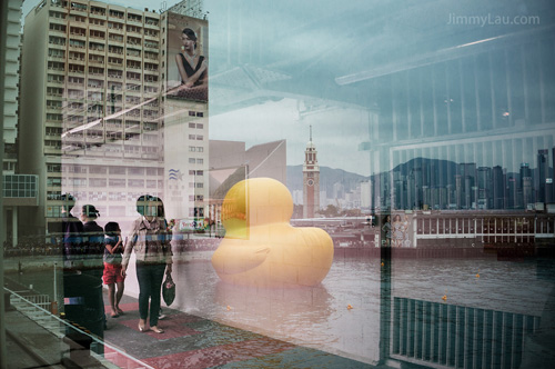 香港黃色橡皮鴨 Rubber Duck