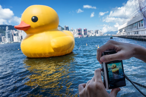 香港黃色橡皮鴨 Rubber Duck