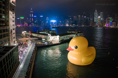 香港黃色橡皮鴨 Rubber Duck