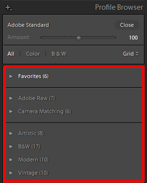 Adobe Lightroom Profile