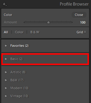 Adobe Lightroom Profile