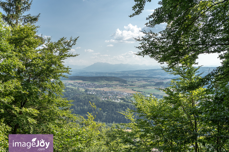 玉特利山(Uetliberg Mountain)